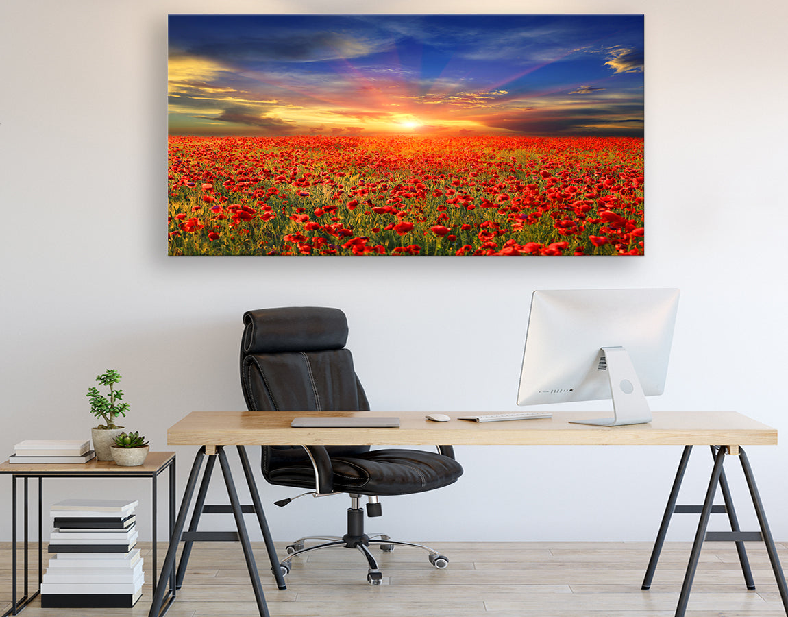 Cloudy skies over the poppies