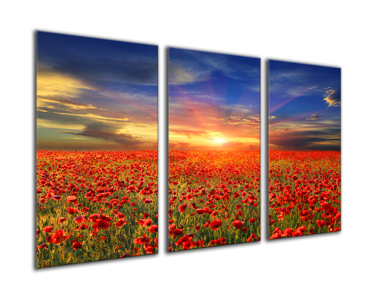 Cloudy skies over the poppies