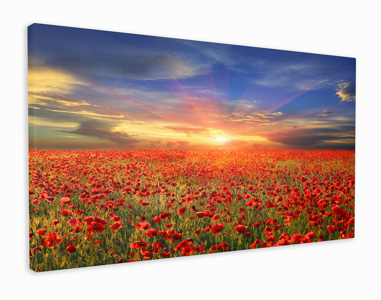 Cloudy skies over the poppies