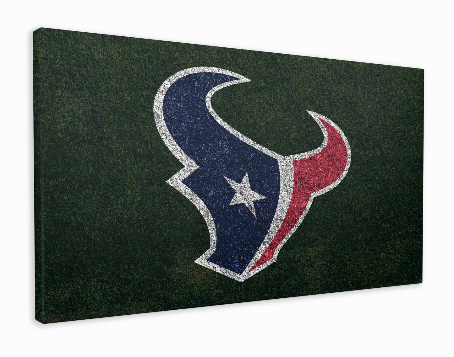 Houston texans