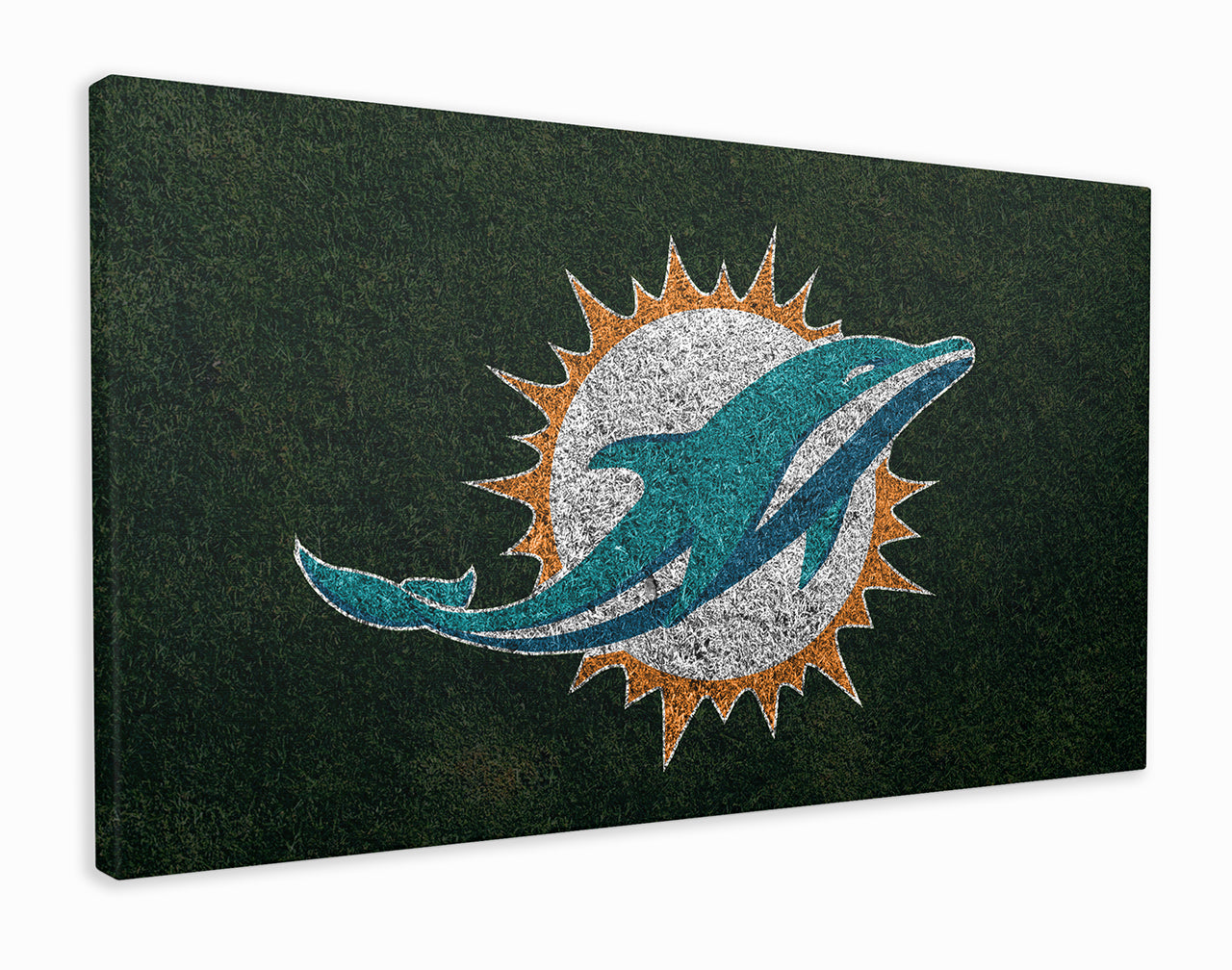 Miami dolphins