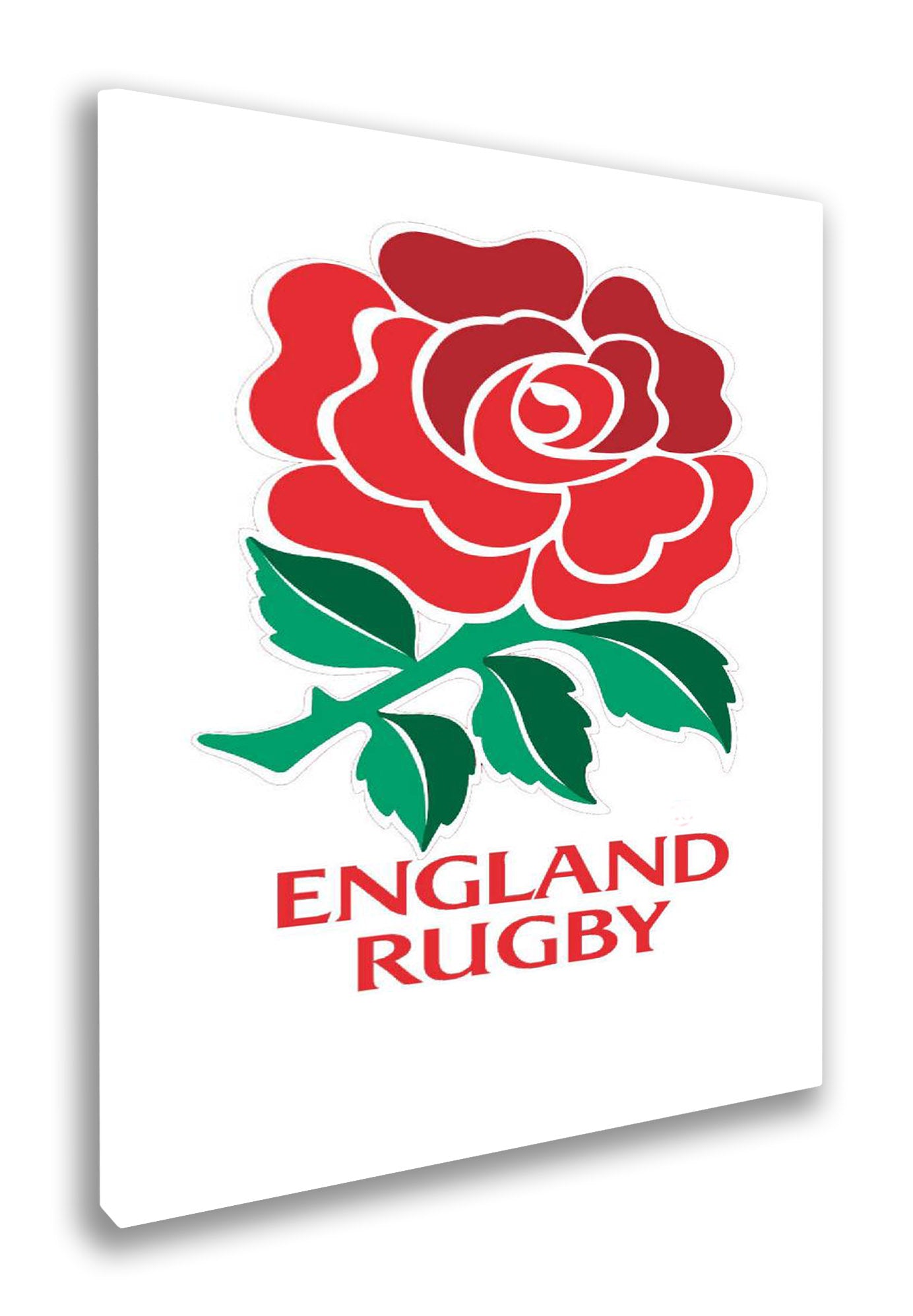 England rugby