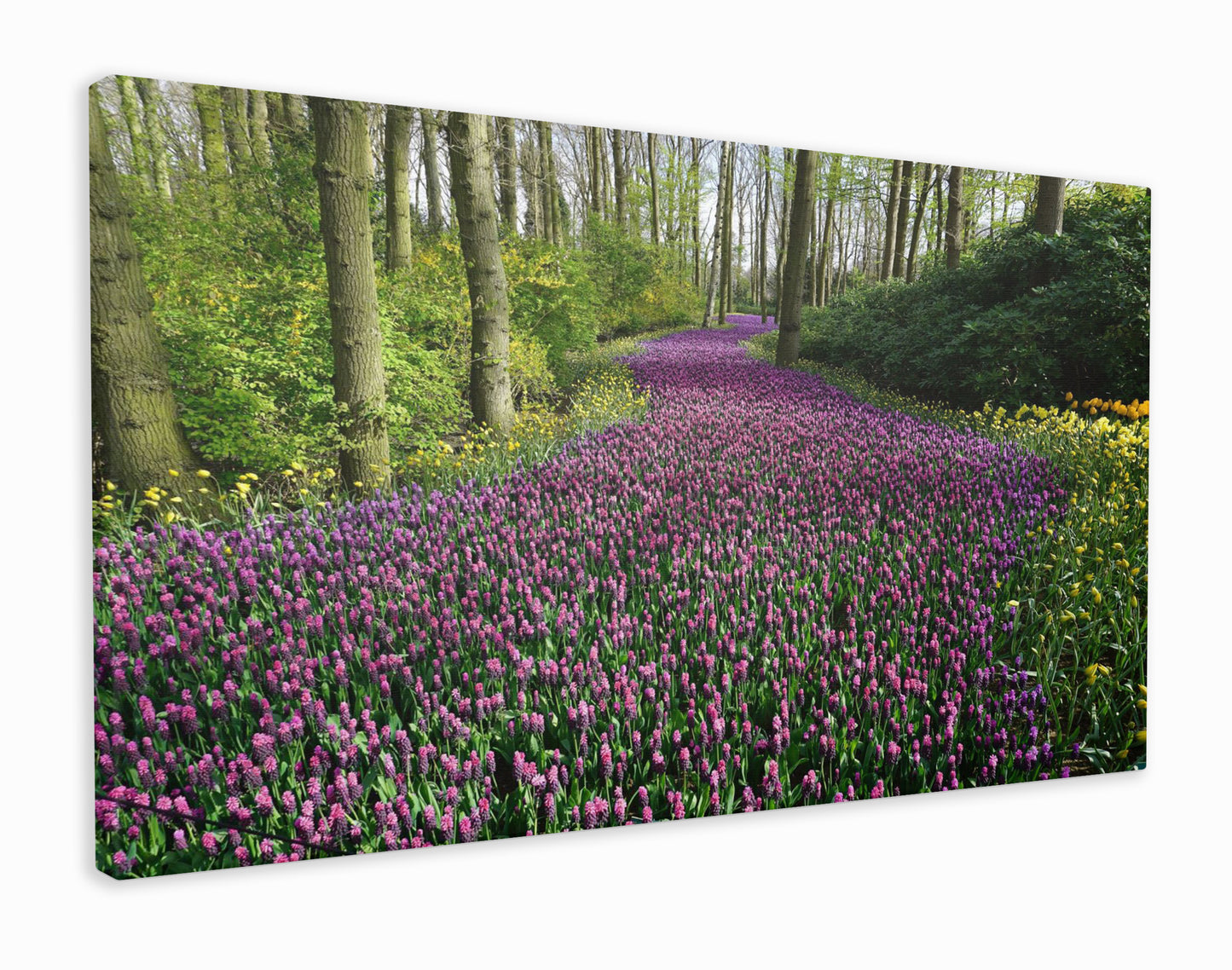 Purple Forest Pathway