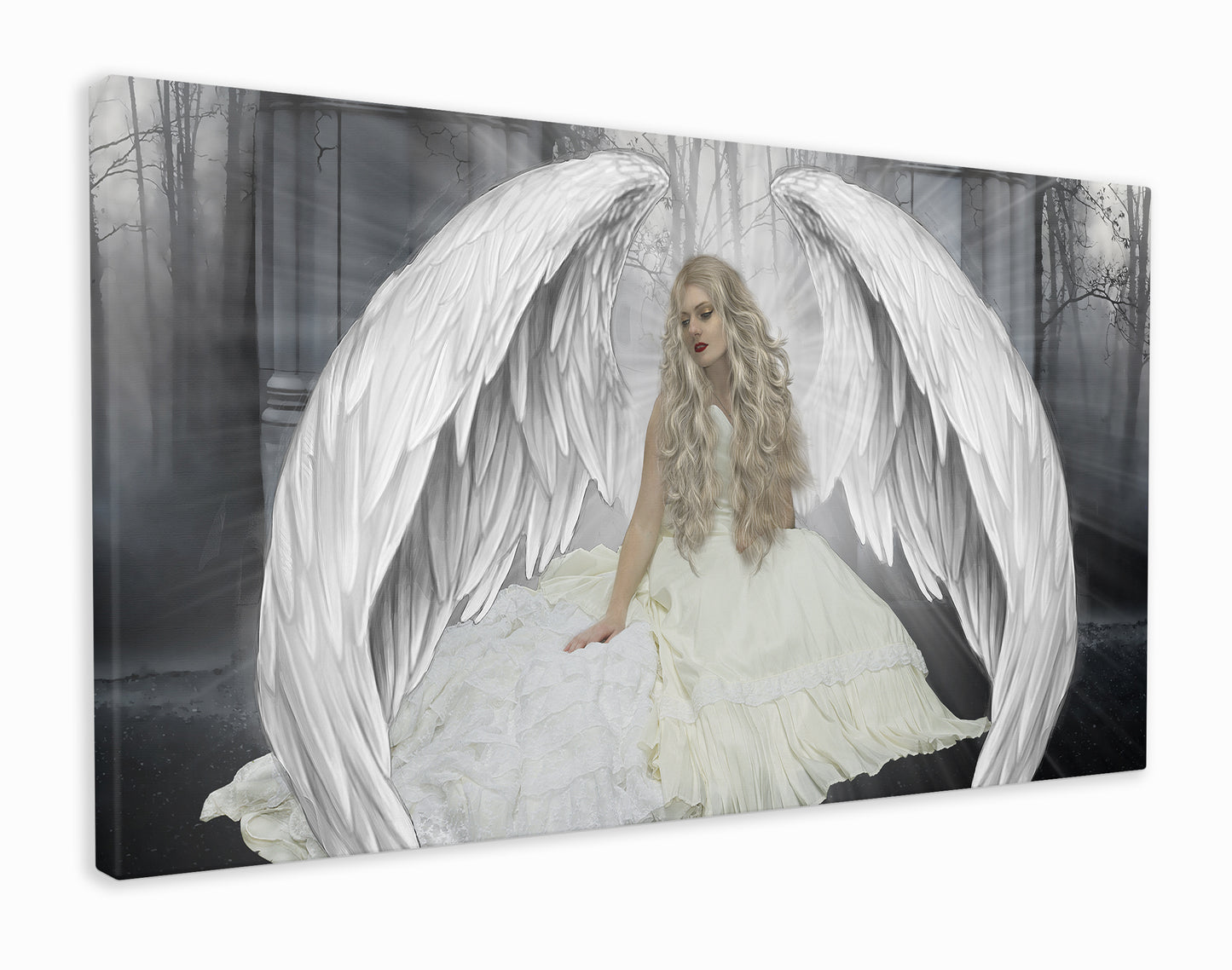 Beautiful Angel Wings