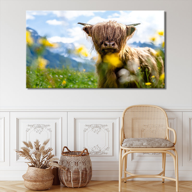 Spring Highland Cow