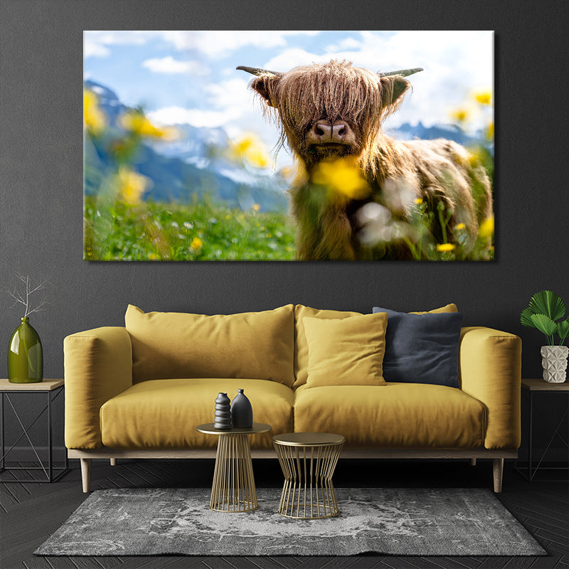 Spring Highland Cow