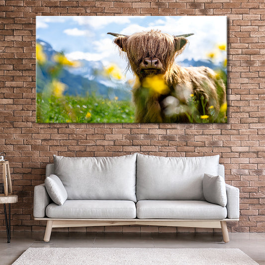 Spring Highland Cow