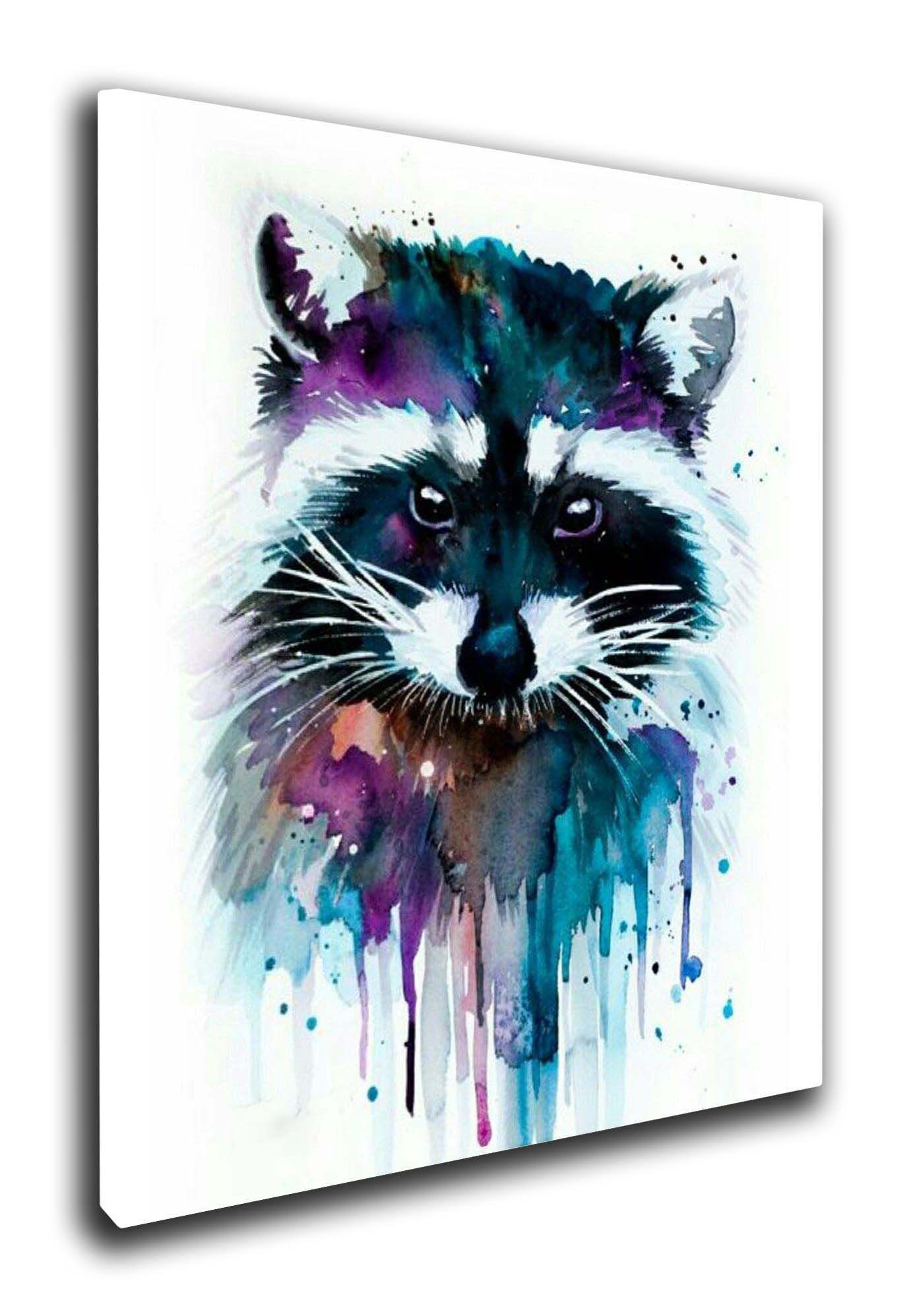 Colour Run Raccoon