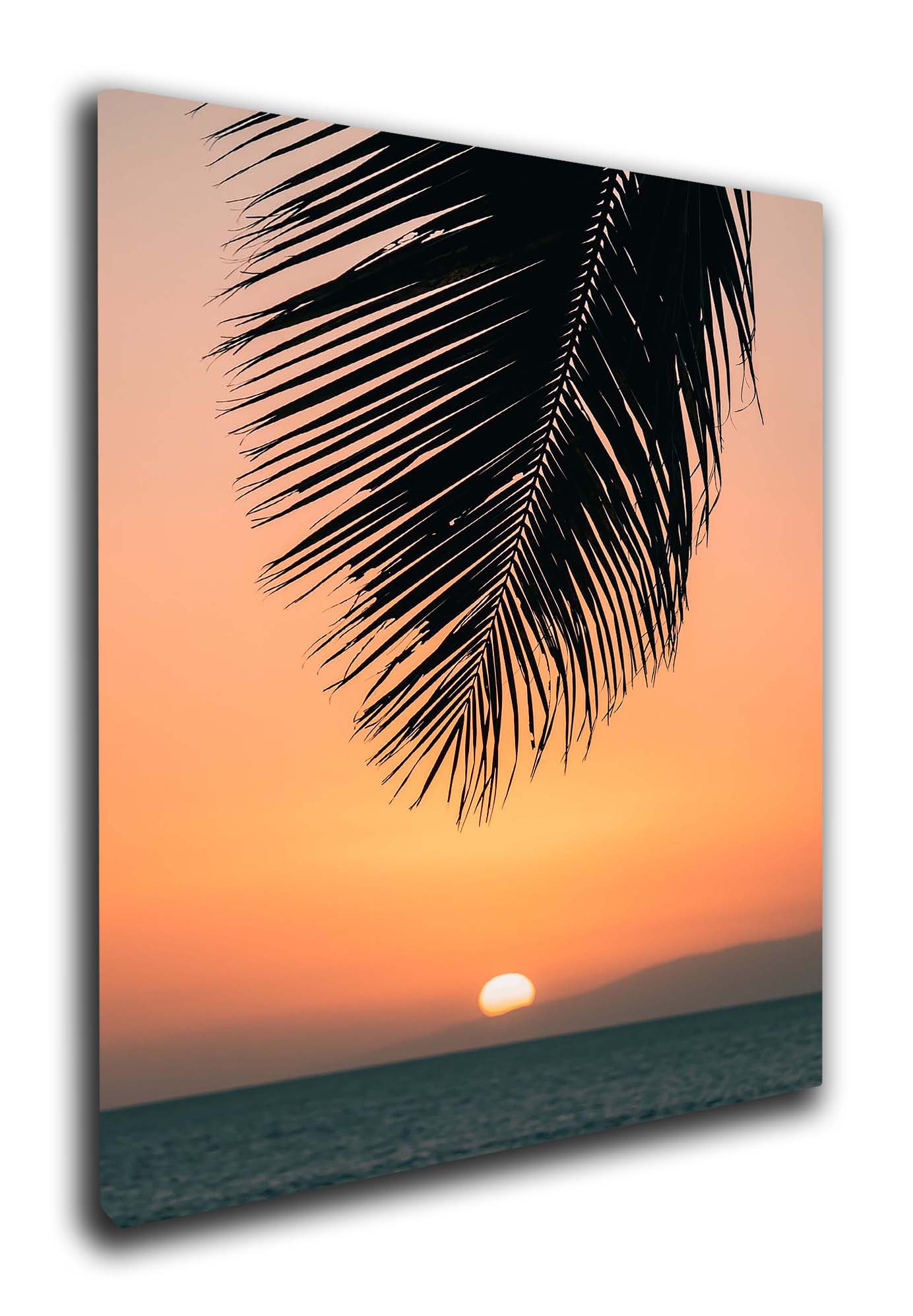 Palm Sunrise