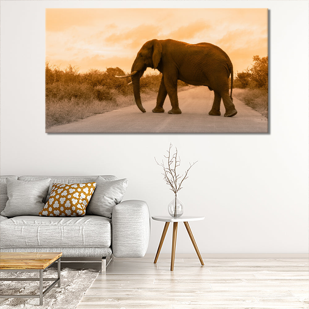 Elephant Crossing