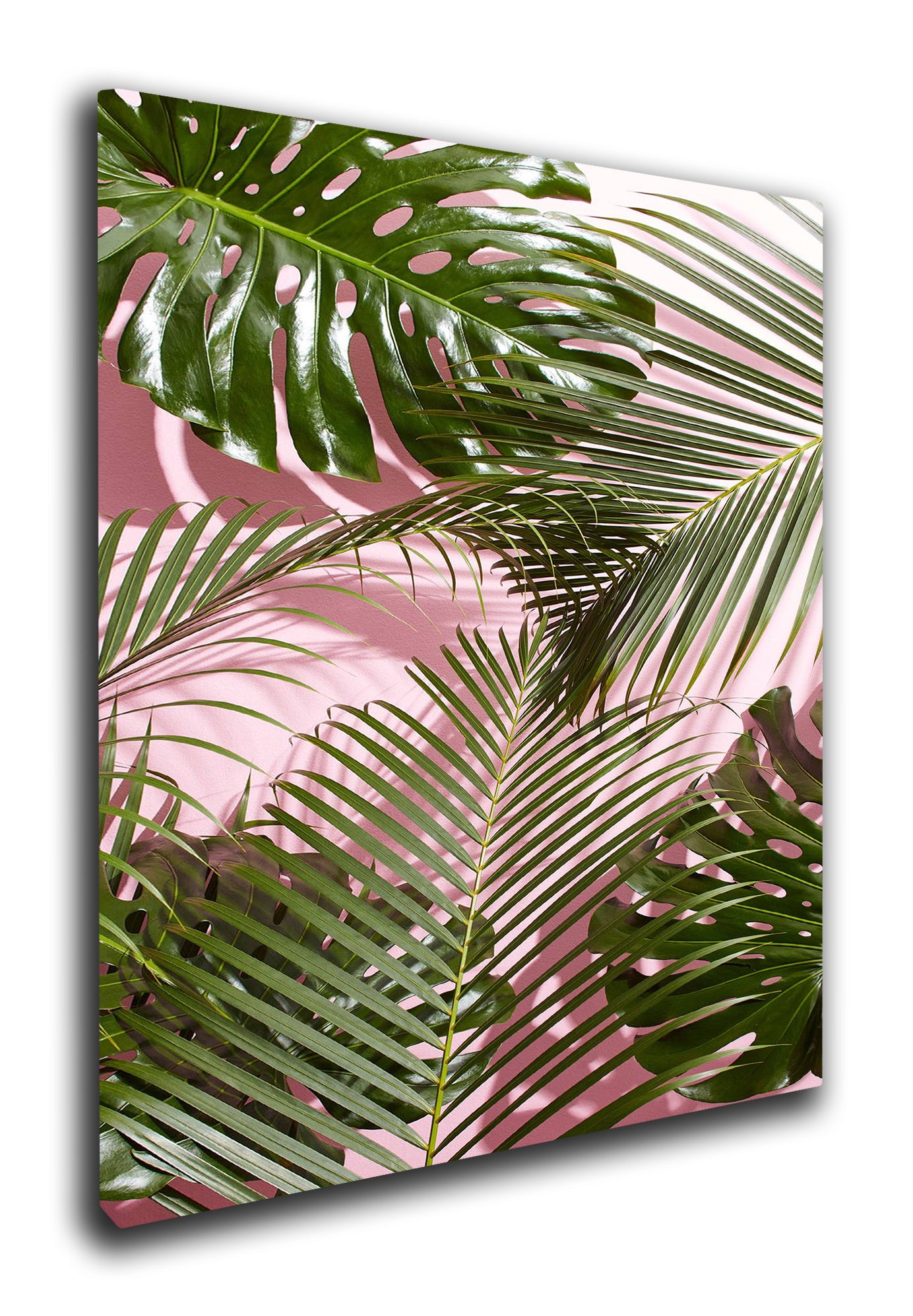 Tropical Leaves